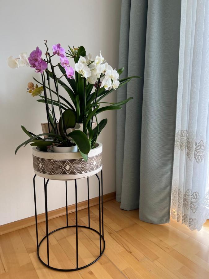 Apartament Acasa Spielberg Bei Knittelfeld Exteriér fotografie